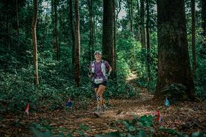 BIB: 
                            <button type="button" onclick="openModal(26135633)" class="btn btn-primary btn-sm float-right btn-popup" data-toggle="modal" data-target=".modal-high-quality">
                        <i class="fas fa-shopping-cart"></i> Add to Cart
                    </button>
                                            <button type="button" onclick="isThisMe(26135633, true)" class="btn btn-success btn-sm float-right btn-popup btn-isme hidden" data-toggle="tooltip" data-placement="bottom" title="นี่คือรูปของคุณใช่ไหม คลิกที่นี่เพื่อเอาเข้าอัลบั้ม">
                        <i class="fas fa-plus"></i> Add to album
                    </button>
                    <button type="button" onclick="isThisMe(26135633, false)" class="btn btn-warning btn-sm float-right btn-popup btn-isnotme hidden">
                        <i class="fas fa-ban"></i> Remove from album
                    </button>